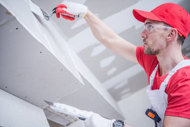 Best Drywall Removal and Disposal  in Lake Camelot, IL